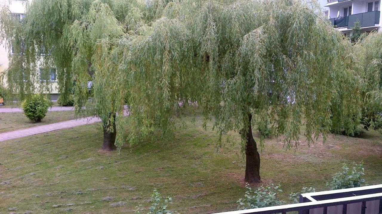 Zielona Herbowa Lublin Luaran gambar